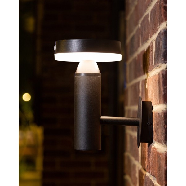 Вуличний світильник на сонячній батареї Goldlux 329783 Gwinea LED 1x4.5W 4000K 400Lm IP44 чорний - фото №1