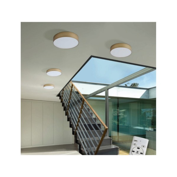 Світильник стельовий AZzardo AZ4756 Monza Led R22 Ctt - фото №2