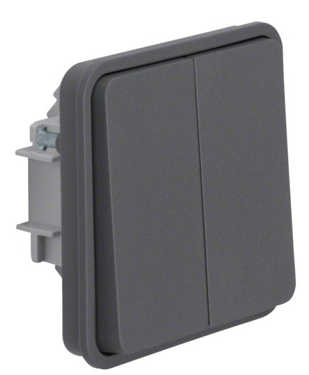 Клавіша двоклавішного кнопкового вимикача, сіра, 10АX/250В W.1