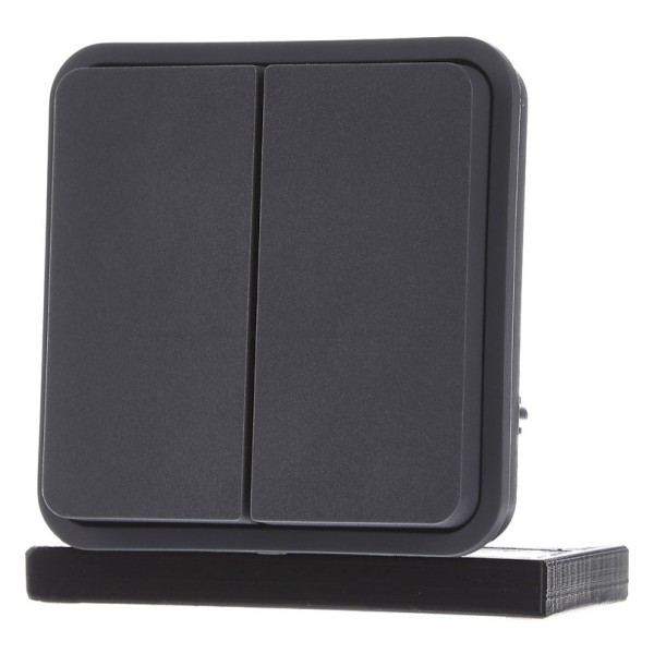 Клавіша двоклавішного кнопкового вимикача, сіра, 10АX/250В W.1 - фото №1