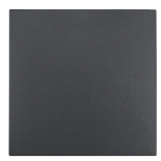 Клавиша одинарная, антрацит, Berker B.3/B.7