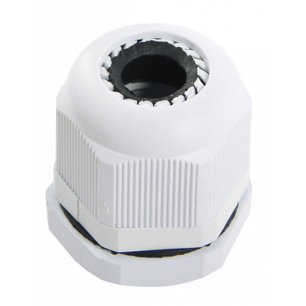 Сальник Аско-Укрем PG21 (A0150050007)