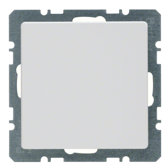 Заглушка з центральною панеллю полярна білизна Berker Q.х