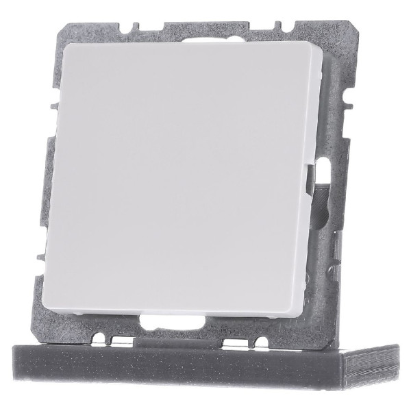 Заглушка з центральною панеллю полярна білизна Berker Q.х - фото №1