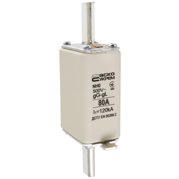 Запобіжник Аско-Укрем NH0 80A gG (A0050010023) - фото №1