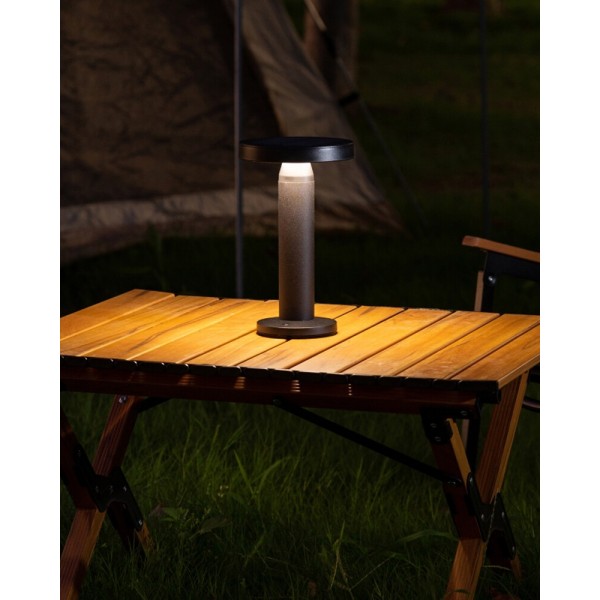 Уличный светильник на солнечной батарее Zuma Line 5905316666399 Carli LED 1x2W 2700K 180Lm IP44 черный - фото №1