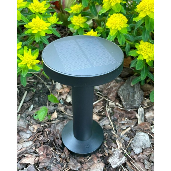 Уличный светильник на солнечной батарее Zuma Line 5905316666399 Carli LED 1x2W 2700K 180Lm IP44 черный - фото №4