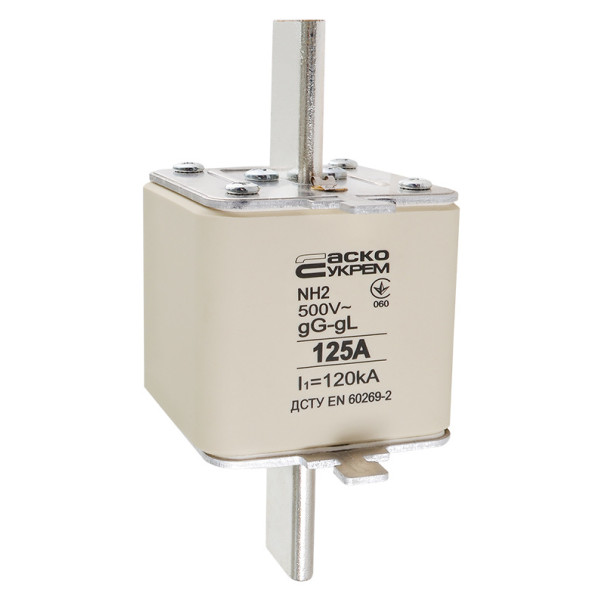 Запобіжник Аско-Укрем NH2 125A gG (A0050010033) - фото №1