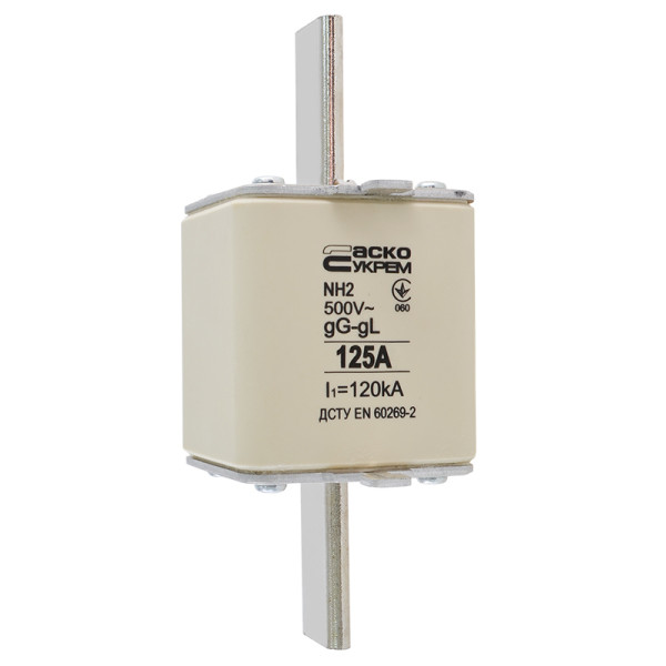 Запобіжник Аско-Укрем NH2 125A gG (A0050010033) - фото №2